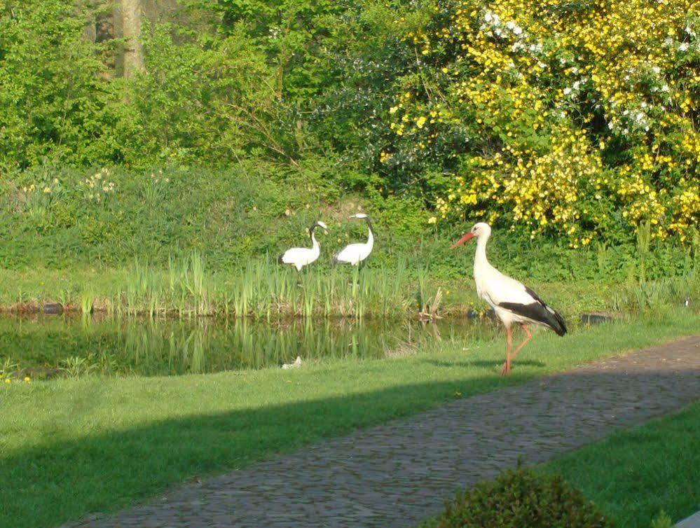 Bed and Breakfast Erve Dikkeboer Bathmen Esterno foto